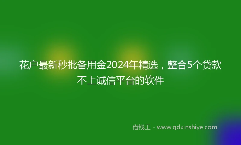 花户最新秒批备用金2024年精选，整合5个贷款不上诚信平台的软件