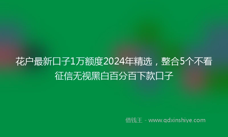 花户最新口子1万额度2024年精选，整合5个不看征信无视黑白百分百下款口子