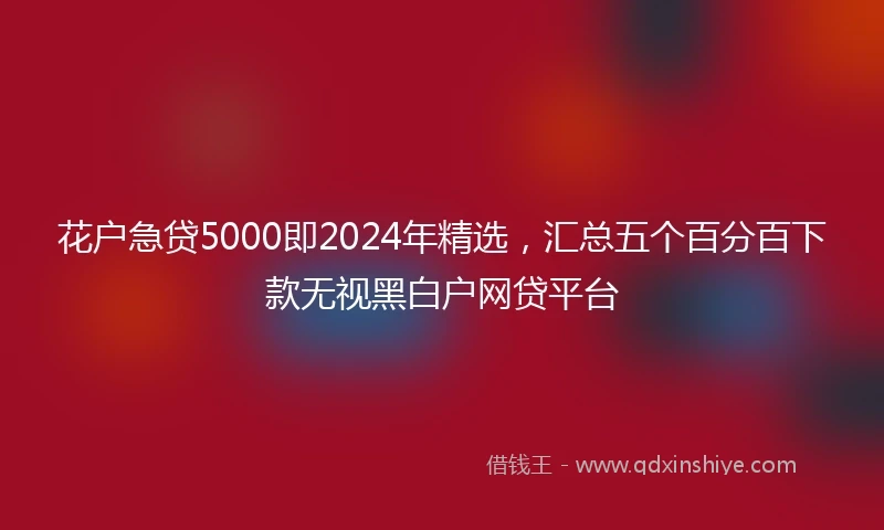 花户急贷5000即2024年精选，汇总五个百分百下款无视黑白户网贷平台