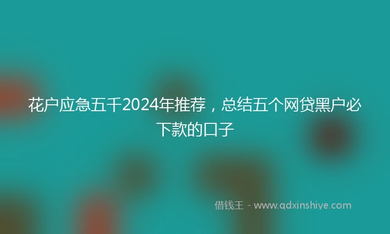 花户应急五千2024年推荐，总结五个网贷黑户必下款的口子