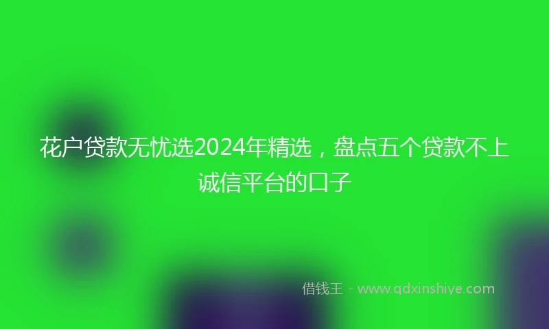 花户贷款无忧选2024年精选，盘点五个贷款不上诚信平台的口子