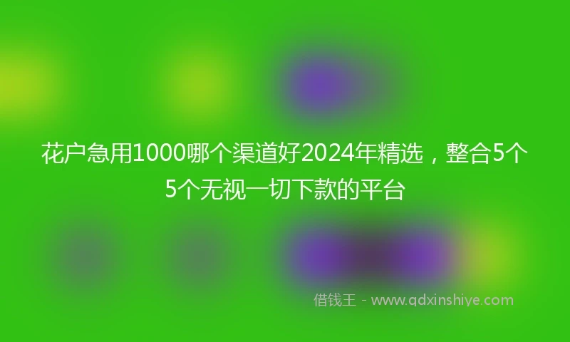 花户急用1000哪个渠道好2024年精选,整合5个5个无视一切下款的平台