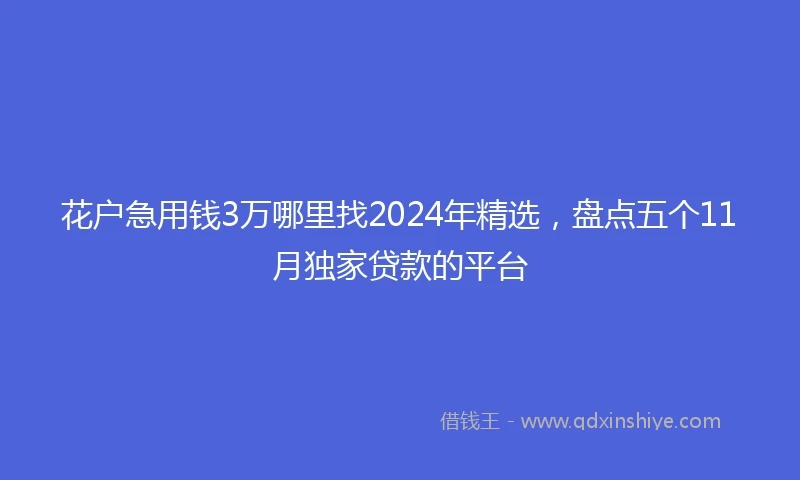 花户急用钱3万哪里找2024年精选，盘点五个11月独家贷款的平台