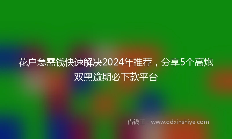 花户急需钱快速解决2024年推荐，分享5个高炮双黑逾期必下款平台