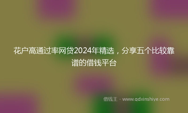 花户高通过率网贷2024年精选，分享五个比较靠谱的借钱平台
