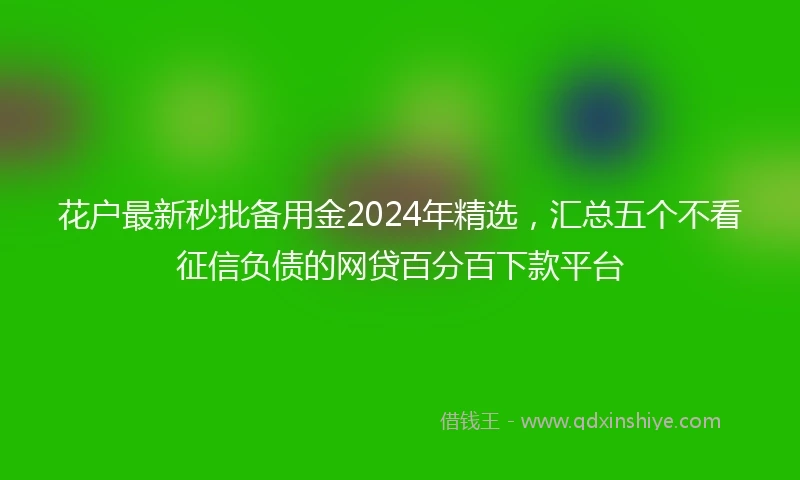 花户最新秒批备用金2024年精选，汇总五个不看征信负债的网贷百分百下款平台