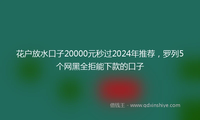花户放水口子20000元秒过2024年推荐，罗列5个网黑全拒能下款的口子