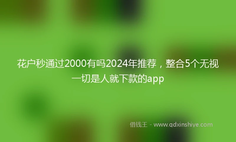 花户秒通过2000有吗2024年推荐，整合5个无视一切是人就下款的app