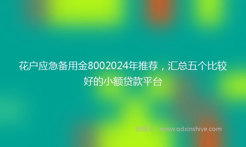 花户应急备用金8002024年推荐，汇总五个比较好的小额贷款平台