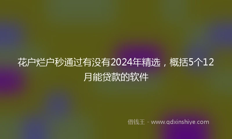 花户烂户秒通过有没有2024年精选，概括5个12月能贷款的软件