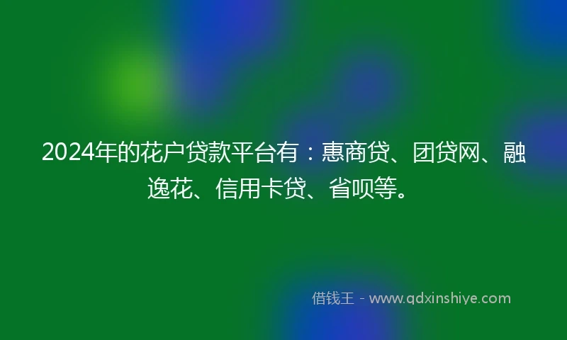2024年的花户贷款平台有：惠商贷、团贷网、融逸花、信用卡贷、省呗等。