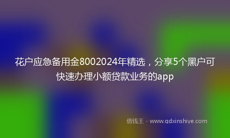 花户应急备用金8002024年精选，分享5个黑户可快速办理小额贷款业务的app