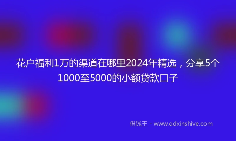 花户福利1万的渠道在哪里2024年精选，分享5个1000至5000的小额贷款口子