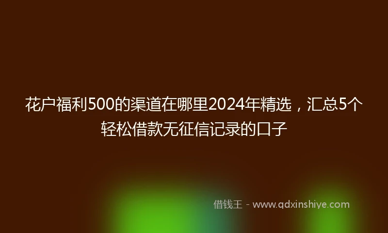 花户福利500的渠道在哪里2024年精选，汇总5个轻松借款无征信记录的口子