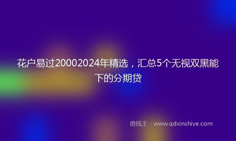 花户易过20002024年精选，汇总5个无视双黑能下的分期贷