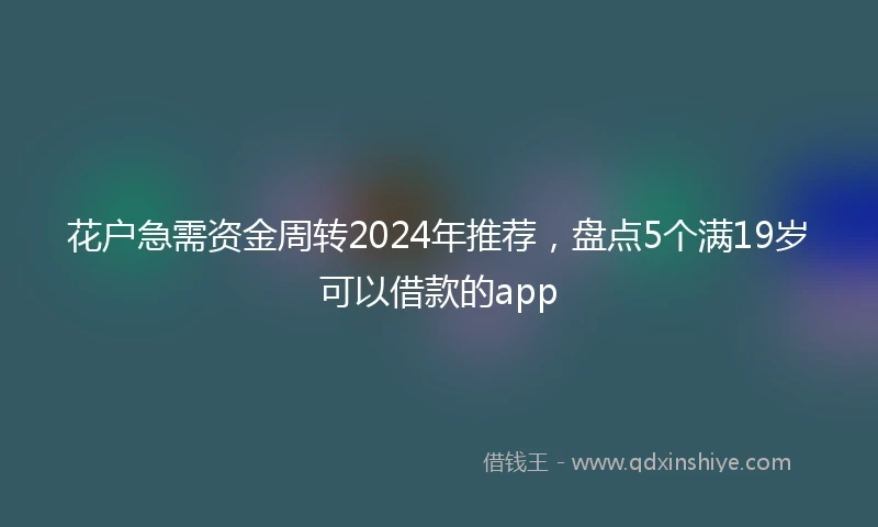 花户急需资金周转2024年推荐，盘点5个满19岁可以借款的app