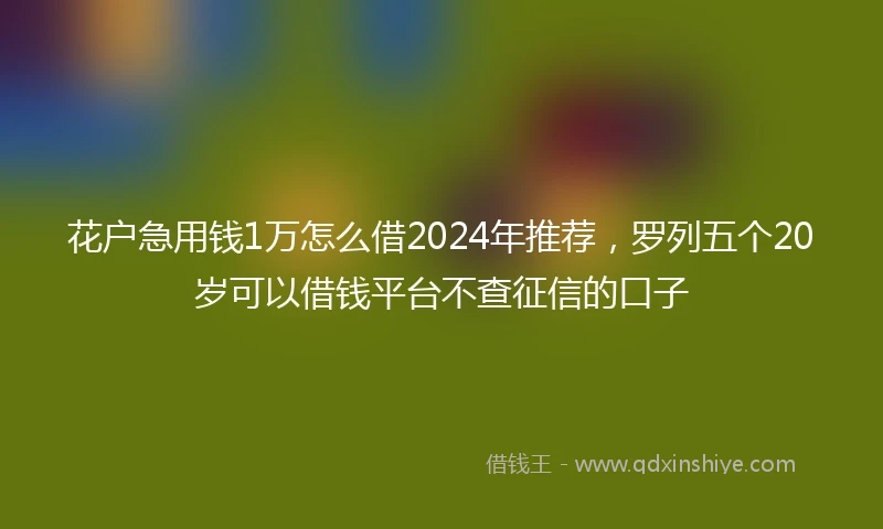 花户急用钱1万怎么借2024年推荐，罗列五个20岁可以借钱平台不查征信的口子