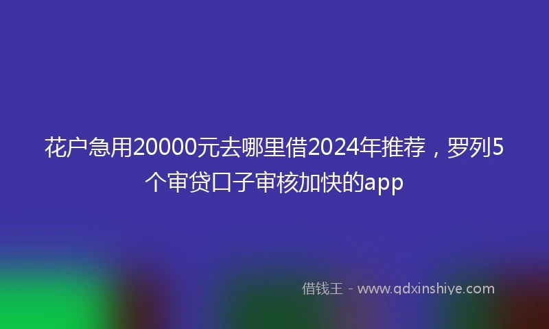 花户急用20000元去哪里借2024年推荐，罗列5个审贷口子审核加快的app