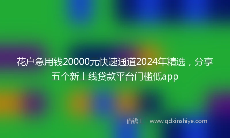 花户急用钱20000元快速通道2024年精选,分享五个新上线贷款平台门槛低app