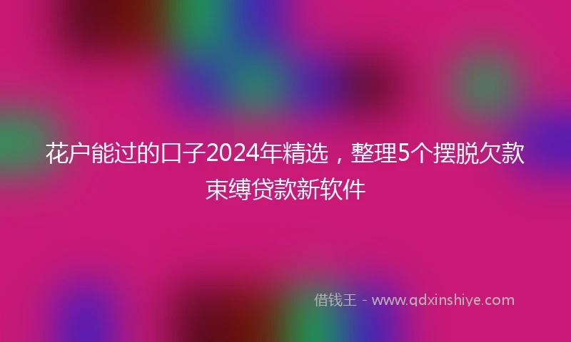 花户能过的口子2024年精选，整理5个摆脱欠款束缚贷款新软件