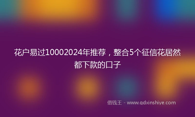 花户易过10002024年推荐，整合5个征信花居然都下款的口子