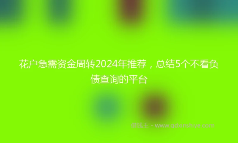 花户急需资金周转2024年推荐，总结5个不看负债查询的平台