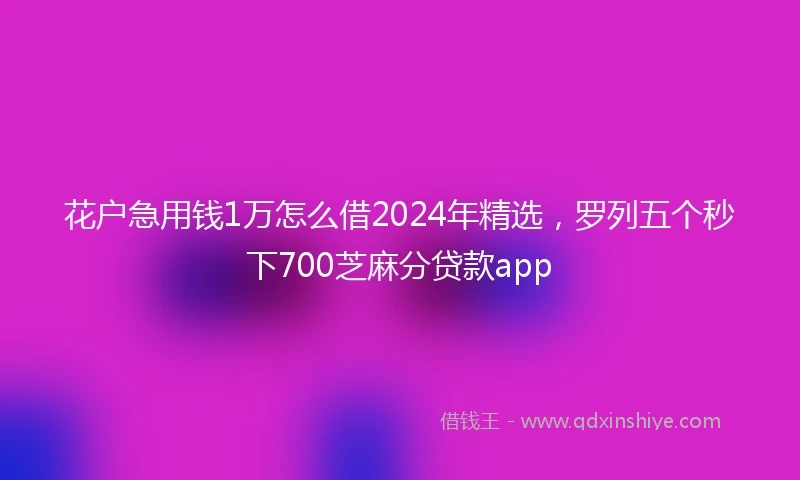 花户急用钱1万怎么借2024年精选，罗列五个秒下700芝麻分贷款app
