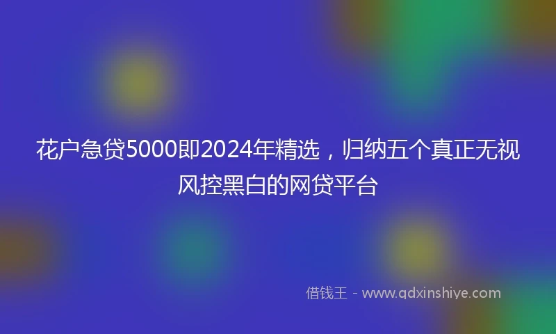 花户急贷5000即2024年精选，归纳五个真正无视风控黑白的网贷平台