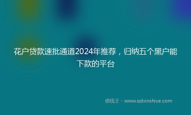 花户贷款速批通道2024年推荐，归纳五个黑户能下款的平台