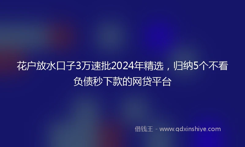 花户放水口子3万速批2024年精选，归纳5个不看负债秒下款的网贷平台