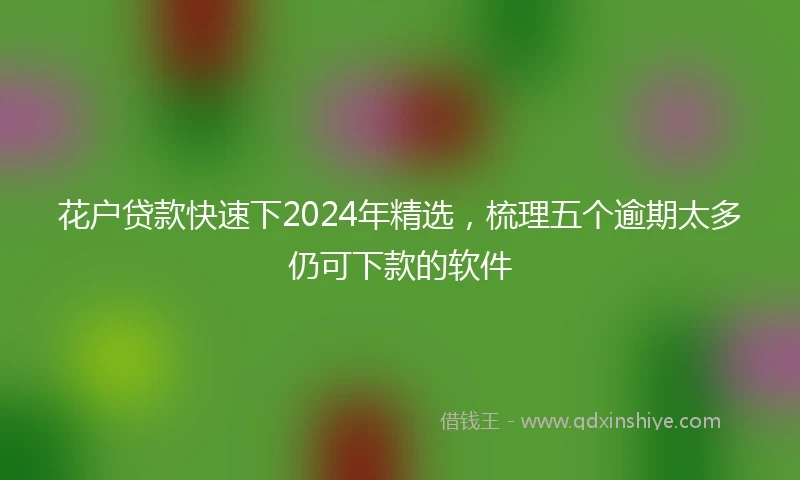 花户贷款快速下2024年精选，梳理五个逾期太多仍可下款的软件