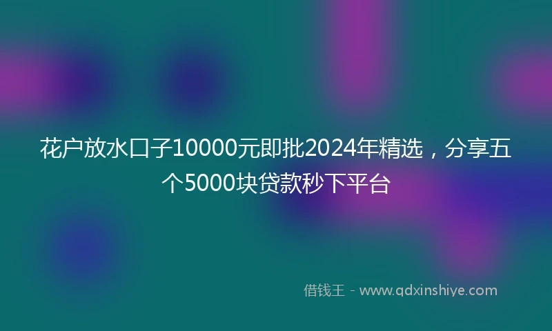 花户放水口子10000元即批2024年精选，分享五个5000块贷款秒下平台