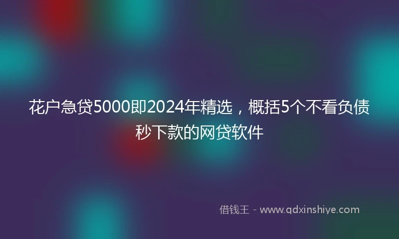 花户急贷5000即2024年精选，概括5个不看负债秒下款的网贷软件