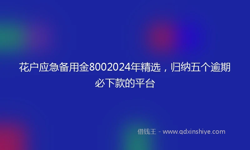 花户应急备用金8002024年精选，归纳五个逾期必下款的平台
