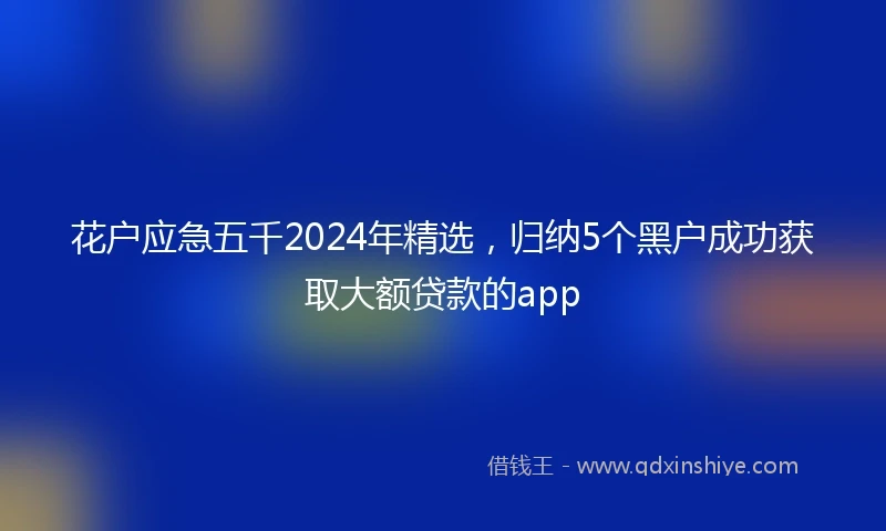 花户应急五千2024年精选，归纳5个黑户成功获取大额贷款的app