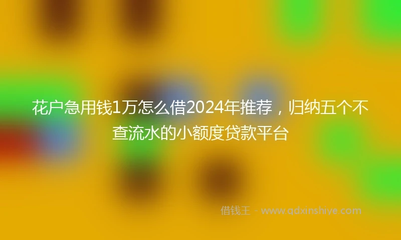 花户急用钱1万怎么借2024年推荐，归纳五个不查流水的小额度贷款平台
