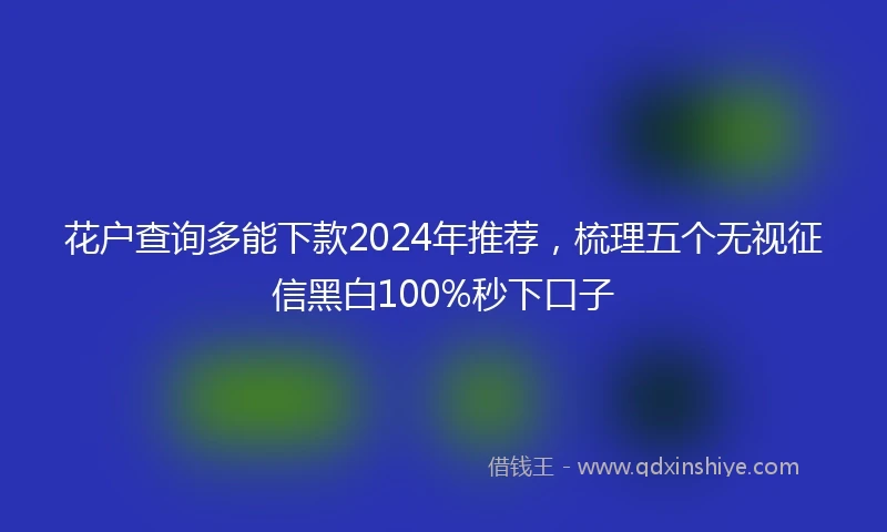 花户查询多能下款2024年推荐，梳理五个无视征信黑白100%秒下口子