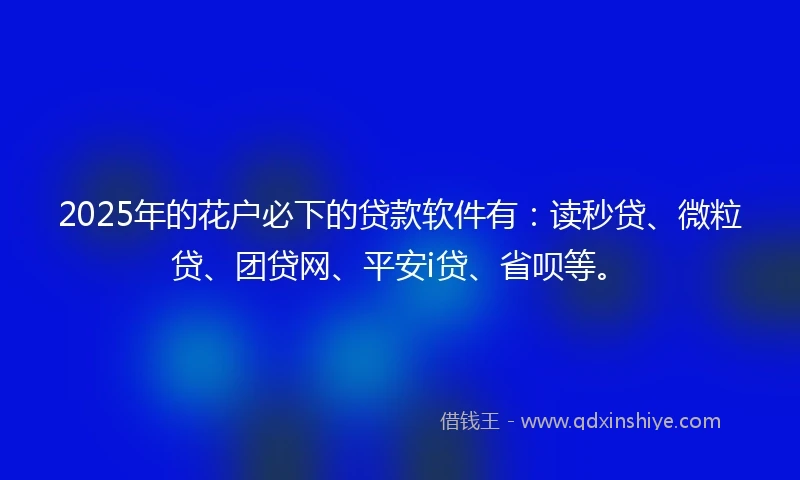 2025年的花户必下的贷款软件有：读秒贷、微粒贷、团贷网、平安i贷、省呗等。