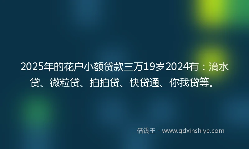 2025年的花户小额贷款三万19岁2024有:滴水贷、微粒贷、拍拍贷、快贷通、你我贷等。