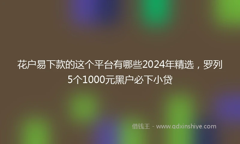 花户易下款的这个平台有哪些2024年精选，罗列5个1000元黑户必下小贷