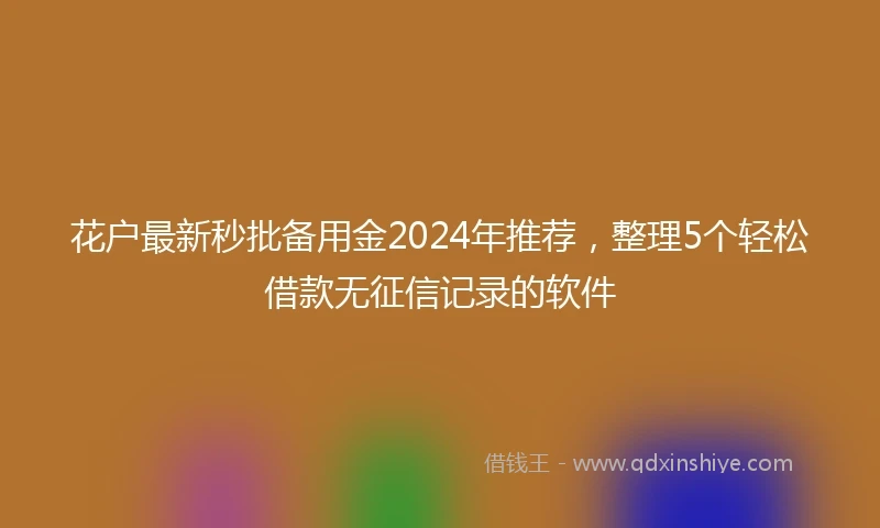 花户最新秒批备用金2024年推荐，整理5个轻松借款无征信记录的软件