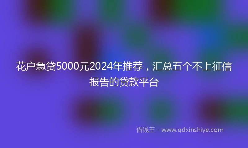花户急贷5000元2024年推荐，汇总五个不上征信报告的贷款平台