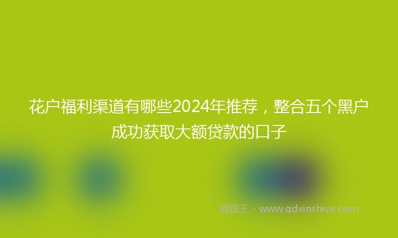 花户福利渠道有哪些2024年推荐，整合五个黑户成功获取大额贷款的口子