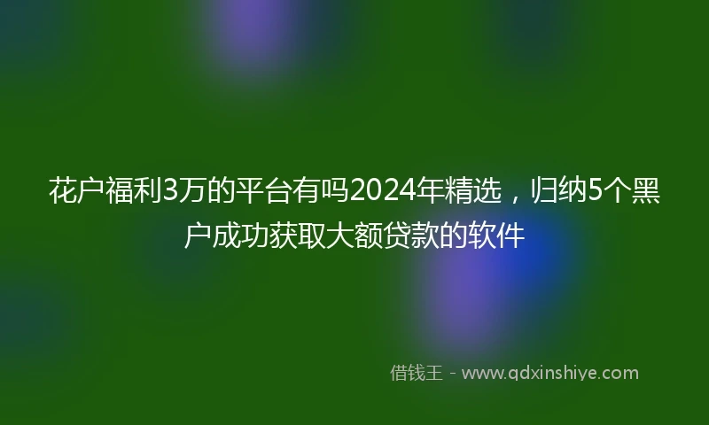 花户福利3万的平台有吗2024年精选，归纳5个黑户成功获取大额贷款的软件