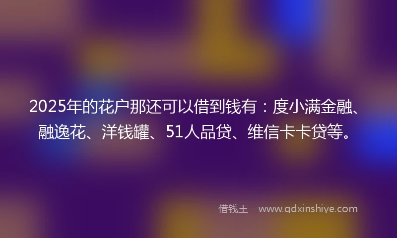 2025年的花户那还可以借到钱有：度小满金融、融逸花、洋钱罐、51人品贷、维信卡卡贷等。