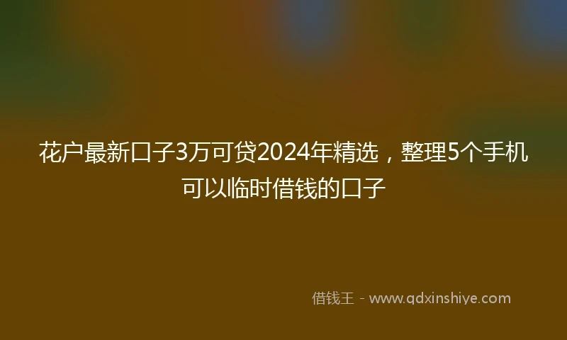 花户最新口子3万可贷2024年精选，整理5个手机可以临时借钱的口子