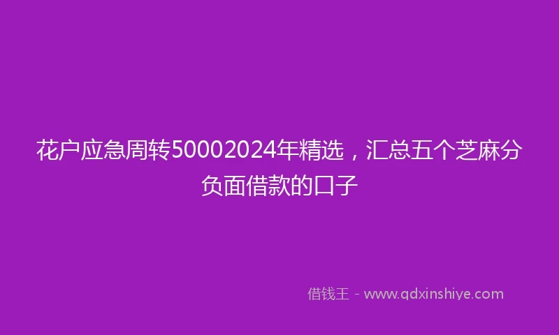 花户应急周转50002024年精选，汇总五个芝麻分负面借款的口子