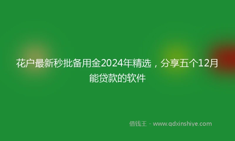 花户最新秒批备用金2024年精选，分享五个12月能贷款的软件