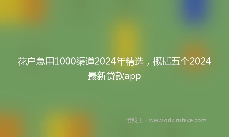 花户急用1000渠道2024年精选，概括五个2024最新贷款app