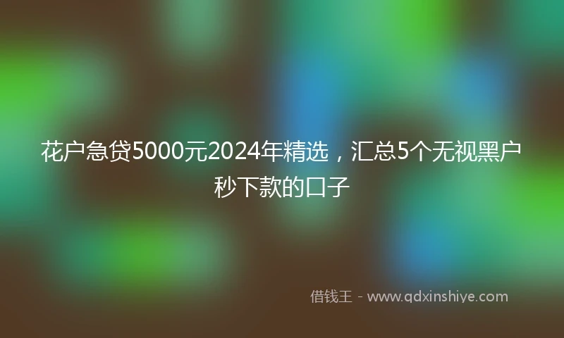 花户急贷5000元2024年精选，汇总5个无视黑户秒下款的口子